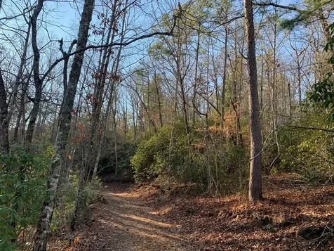 166 Qualla Trail Murphy NC 28906