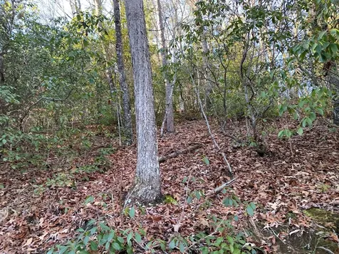 166 Qualla Trail Murphy NC 28906