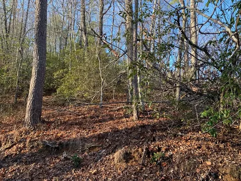 166 Qualla Trail Murphy NC 28906