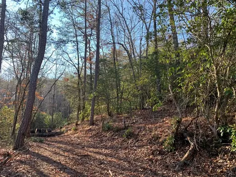 166 Qualla Trail Murphy NC 28906