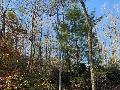 166 Qualla Trail Murphy NC 28906