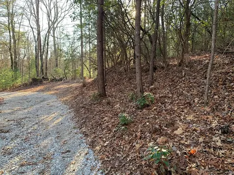 166 Qualla Trail Murphy NC 28906