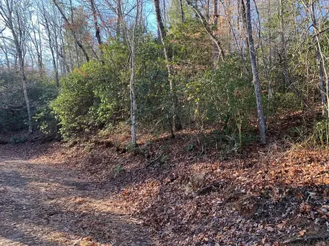 166 Qualla Trail Murphy NC 28906