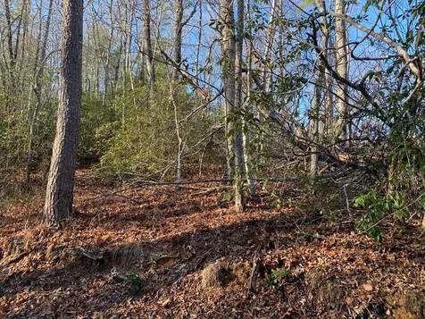 166 Qualla Trail Murphy NC 28906