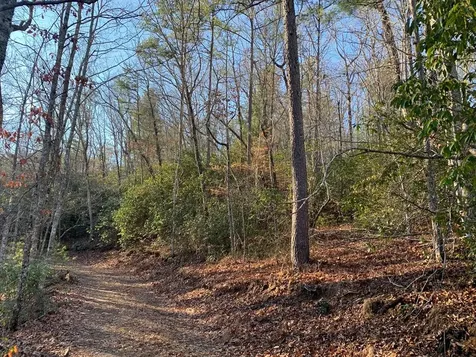 166 Qualla Trail Murphy NC 28906