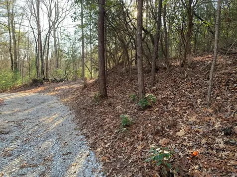 166 Qualla Trail Murphy NC 28906