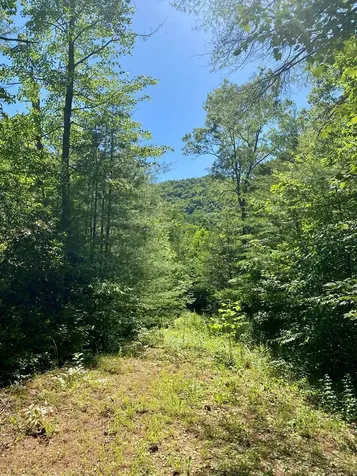 00 Deer Run Robbinsville NC 28771