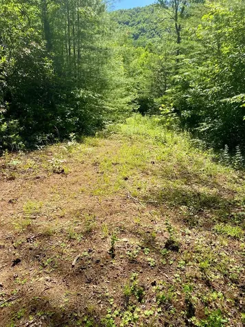 00 Deer Run Robbinsville NC 28771