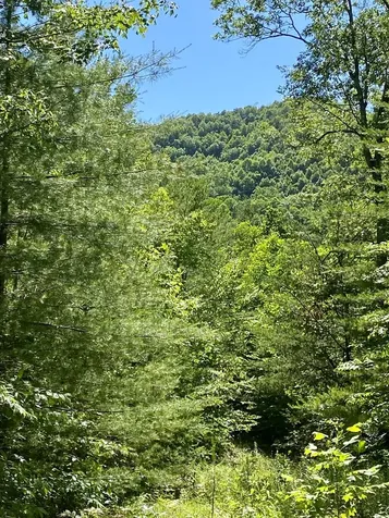 00 Deer Run Robbinsville NC 28771