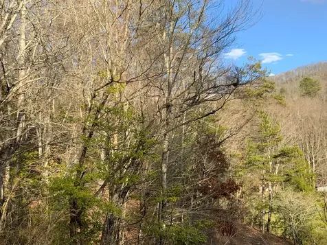 Lot 6 Ivy Log Road Murphy NC 28906
