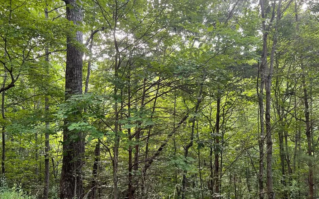 Lot 13 The Preserve Brasstown NC 28902