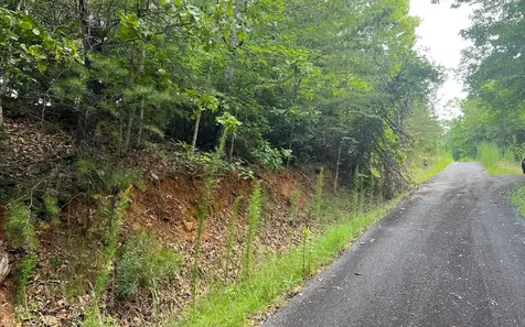 Lot 13 The Preserve Brasstown NC 28902