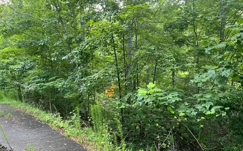 Lot 13 The Preserve Brasstown NC 28902
