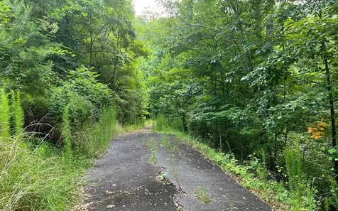 Lot 13 The Preserve Brasstown NC 28902