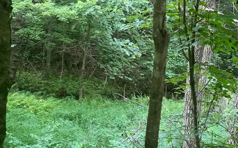 Lot 13 The Preserve Brasstown NC 28902