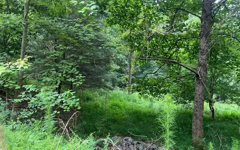 Lot 13 The Preserve Brasstown NC 28902