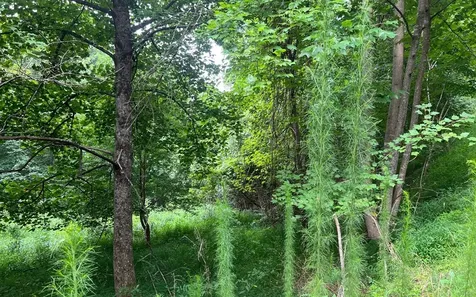 Lot 13 The Preserve Brasstown NC 28902