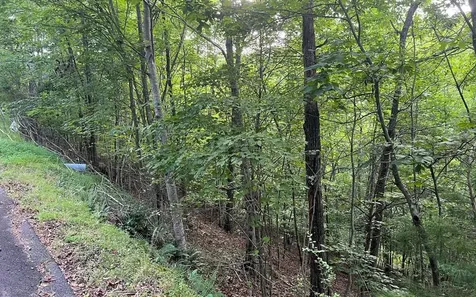 Lot 13 The Preserve Brasstown NC 28902