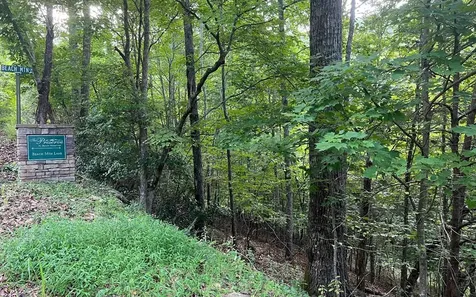 Lot 13 The Preserve Brasstown NC 28902
