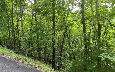 Lot 13 The Preserve Brasstown NC 28902