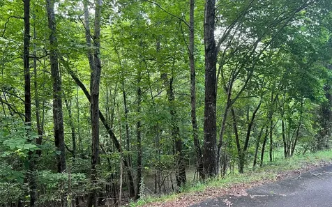 Lot 13 The Preserve Brasstown NC 28902