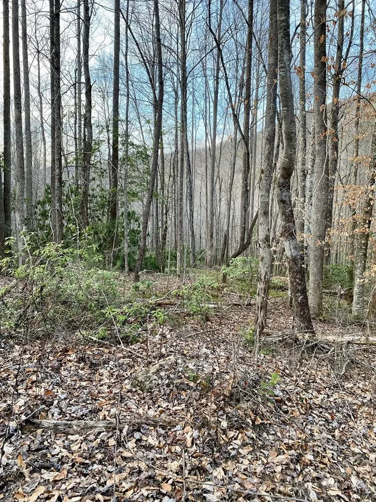 00 Carringer Road Robbinsville NC 28771