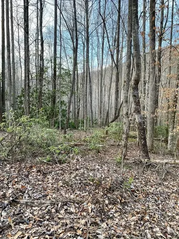00 Carringer Road Robbinsville NC 28771