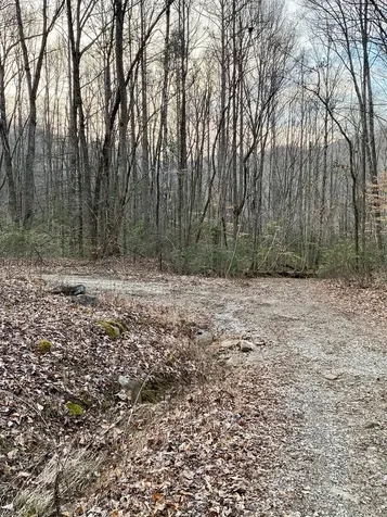 00 Carringer Road Robbinsville NC 28771