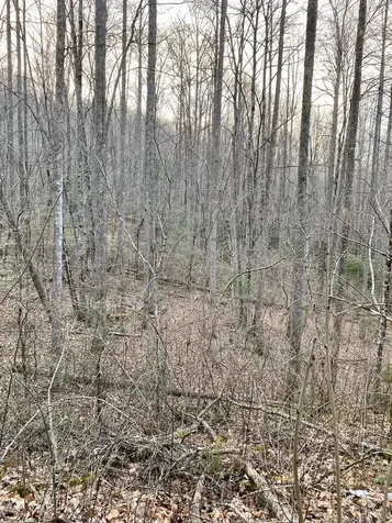00 Carringer Road Robbinsville NC 28771