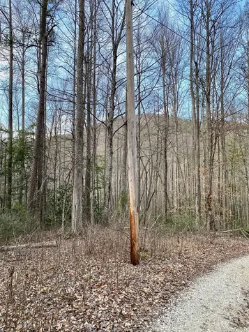00 Carringer Road Robbinsville NC 28771