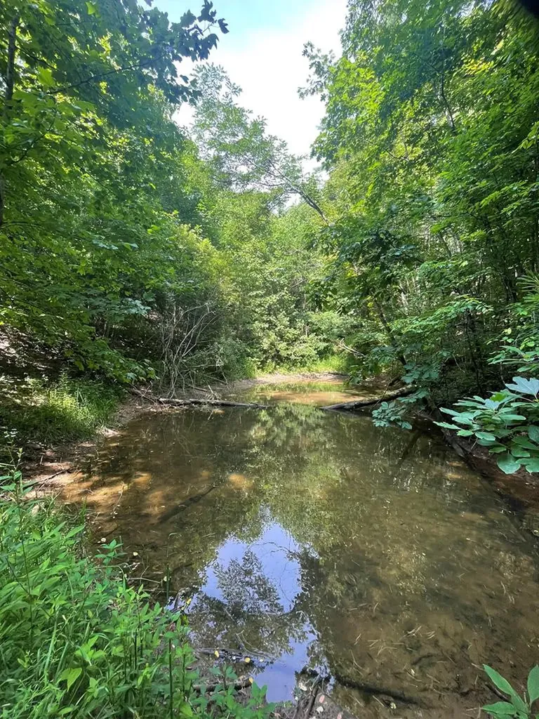 00 Hidden Lakes Road Topton NC 28781