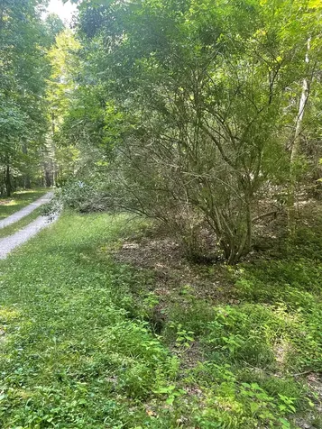 00 Hidden Lakes Road Topton NC 28781