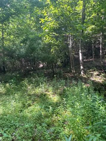00 Hidden Lakes Road Topton NC 28781