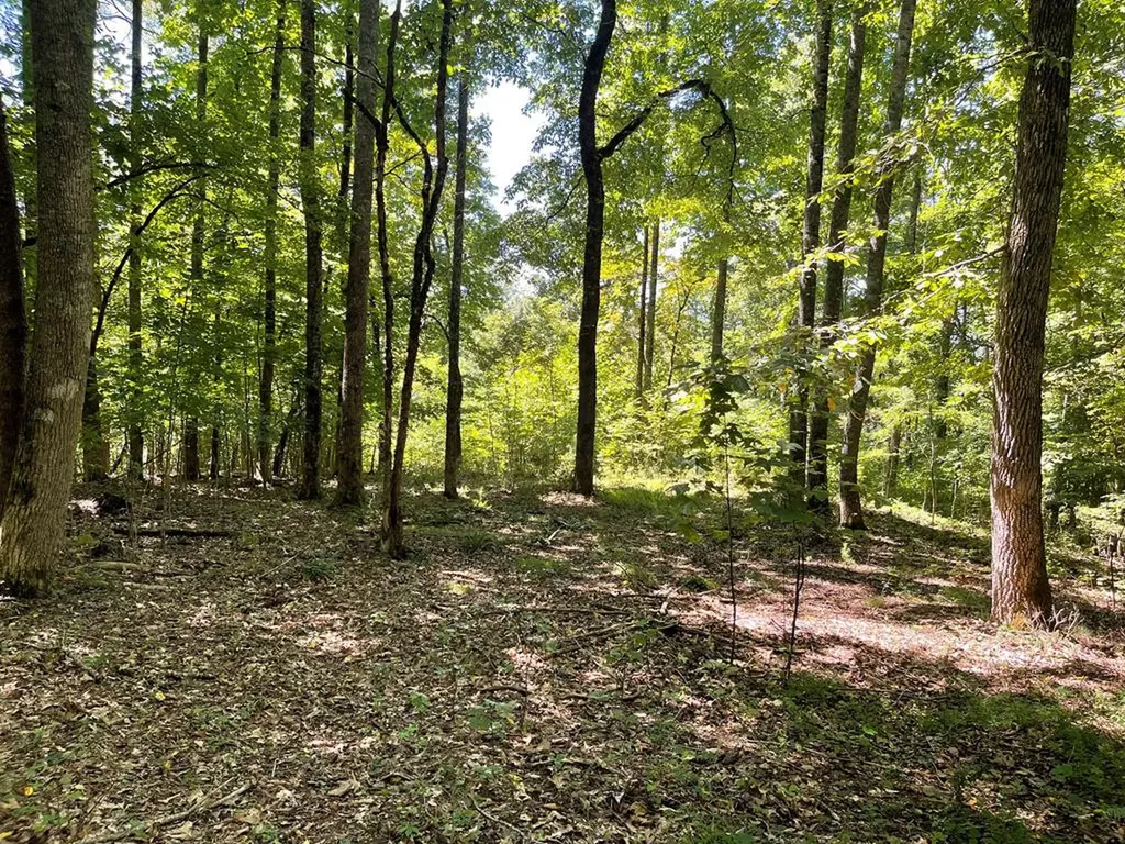 Lot 11b Grandview Drive Hayesville NC 28904