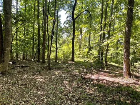 Lot 11b Grandview Drive Hayesville NC 28904