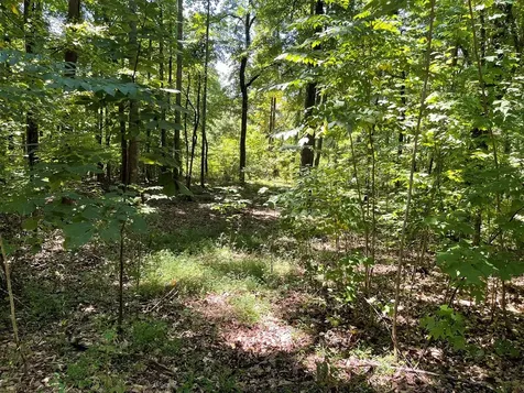 Lot 11b Grandview Drive Hayesville NC 28904