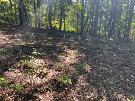 Lot 11b Grandview Drive Hayesville NC 28904