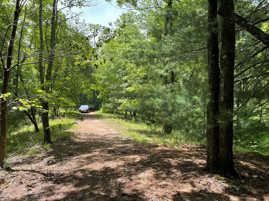 00 Collett Woods Trail Andrews NC 28901