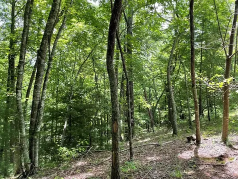 00 Collett Woods Trail Andrews NC 28901