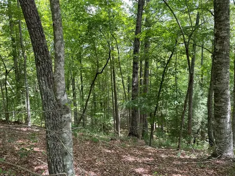 00 Collett Woods Trail Andrews NC 28901