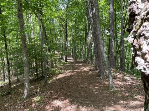 00 Collett Woods Trail Andrews NC 28901
