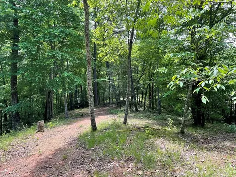 00 Collett Woods Trail Andrews NC 28901