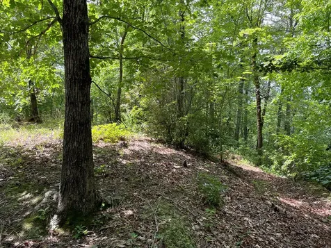 00 Collett Woods Trail Andrews NC 28901