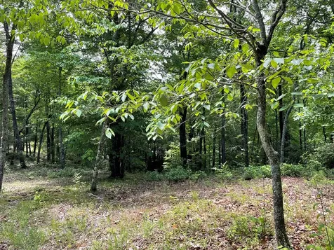 00 Collett Woods Trail Andrews NC 28901