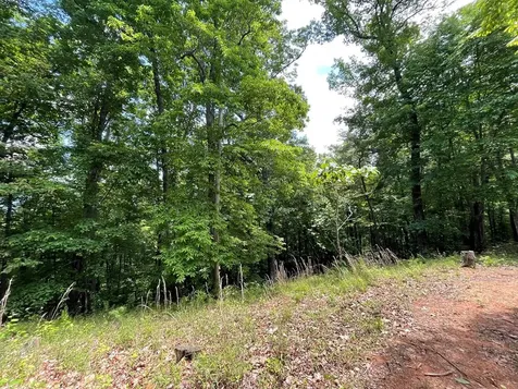 00 Collett Woods Trail Andrews NC 28901