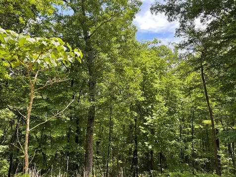 00 Collett Woods Trail Andrews NC 28901