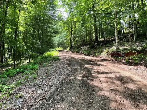 00 Collett Woods Trail Andrews NC 28901