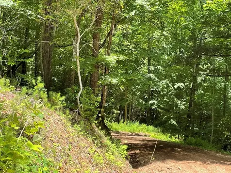 00 Collett Woods Trail Andrews NC 28901