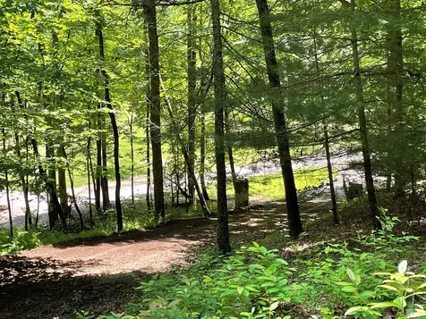 00 Collett Woods Trail Andrews NC 28901