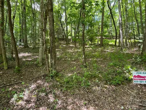 00 Collett Woods Trail Andrews NC 28901